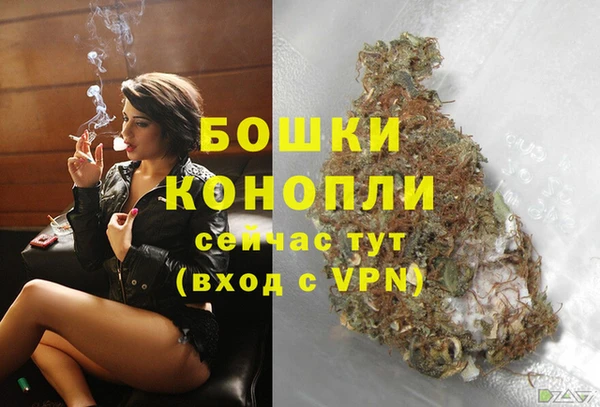 PSILOCYBIN Аркадак