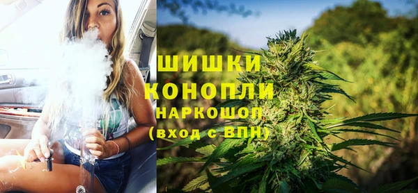 PSILOCYBIN Аркадак