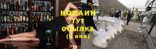 PSILOCYBIN Аркадак