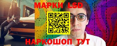 индика Кинель
