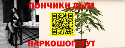 стаф Кимры