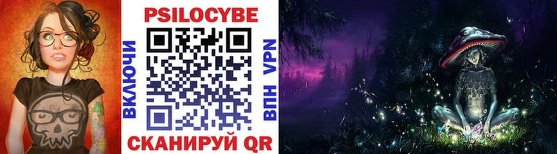 Псилоцибиновые грибы Psilocybine cubensis Кольчугино