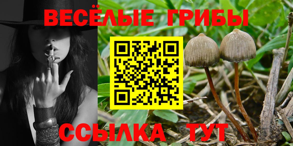 Кольчугино  Псилоцибиновые грибы мухоморы  цена наркотик  Вход с VPN 