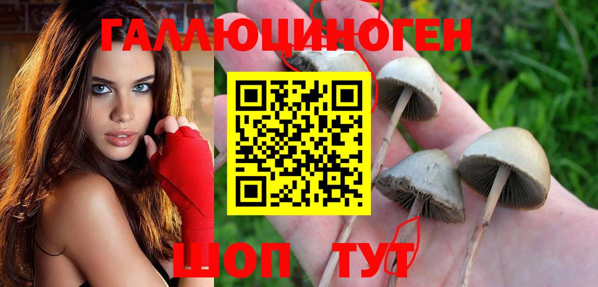Галлюциногенные грибы мухоморы Кольчугино